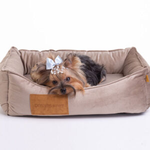 Dreams Pet Modelo Plus